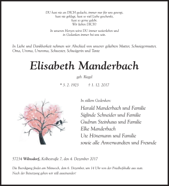 Traueranzeige von Elisabeth Manderbach von Siegener Zeitung