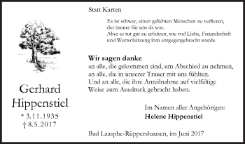 Traueranzeige von Gerhard Hippenstiel von Siegener Zeitung