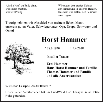 Traueranzeige von Horst Hammer von Siegener Zeitung