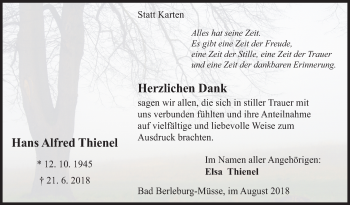 Traueranzeige von Hans Alfred Thienel von Siegener Zeitung