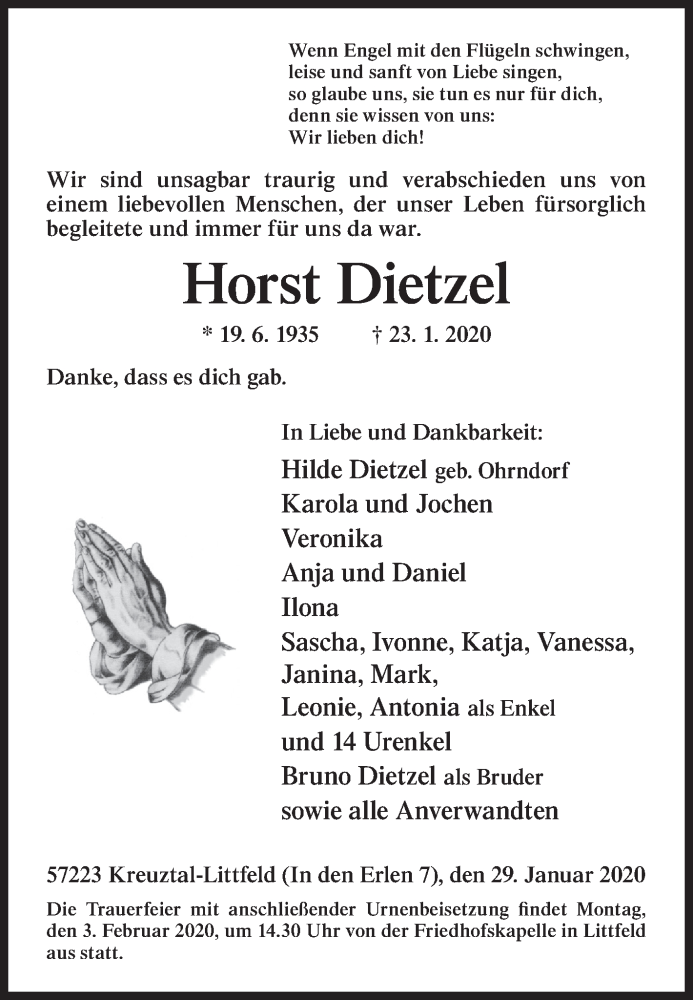  Traueranzeige für Horst Dietzel vom 29.01.2020 aus Siegener Zeitung