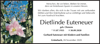 Traueranzeige von Dietlinde Euteneuer von Siegener Zeitung