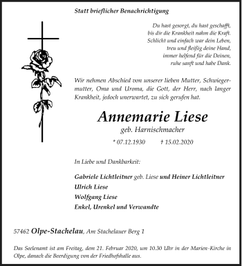 Traueranzeige von Annemarie Liese von Siegener Zeitung