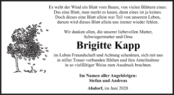 Traueranzeige von Brigitte Kapp von Siegener Zeitung