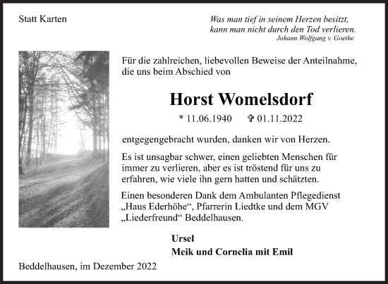 Traueranzeige von Horst Womelsdorf von Siegener Zeitung