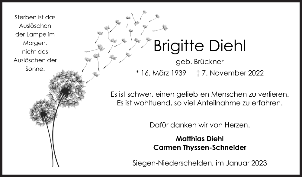  Traueranzeige für Brigitte Diehl vom 14.01.2023 aus Siegener Zeitung