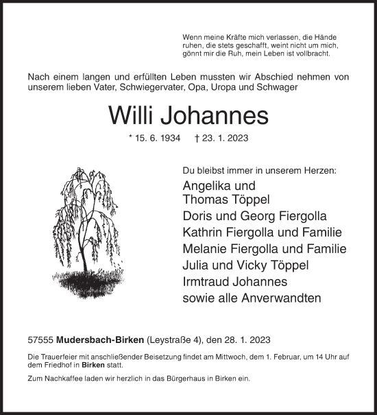 Traueranzeige von Willi Johannes von Siegener Zeitung