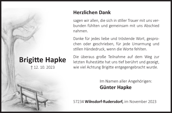 Traueranzeige von Brigitte Hapke von Siegener Zeitung