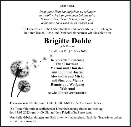 Traueranzeige von Brigitte Dohle von Siegener Zeitung
