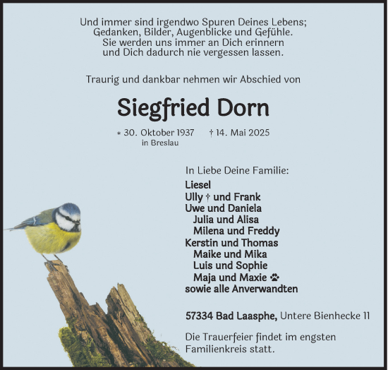 Traueranzeige von Siegfried Dorn von Siegener Zeitung
